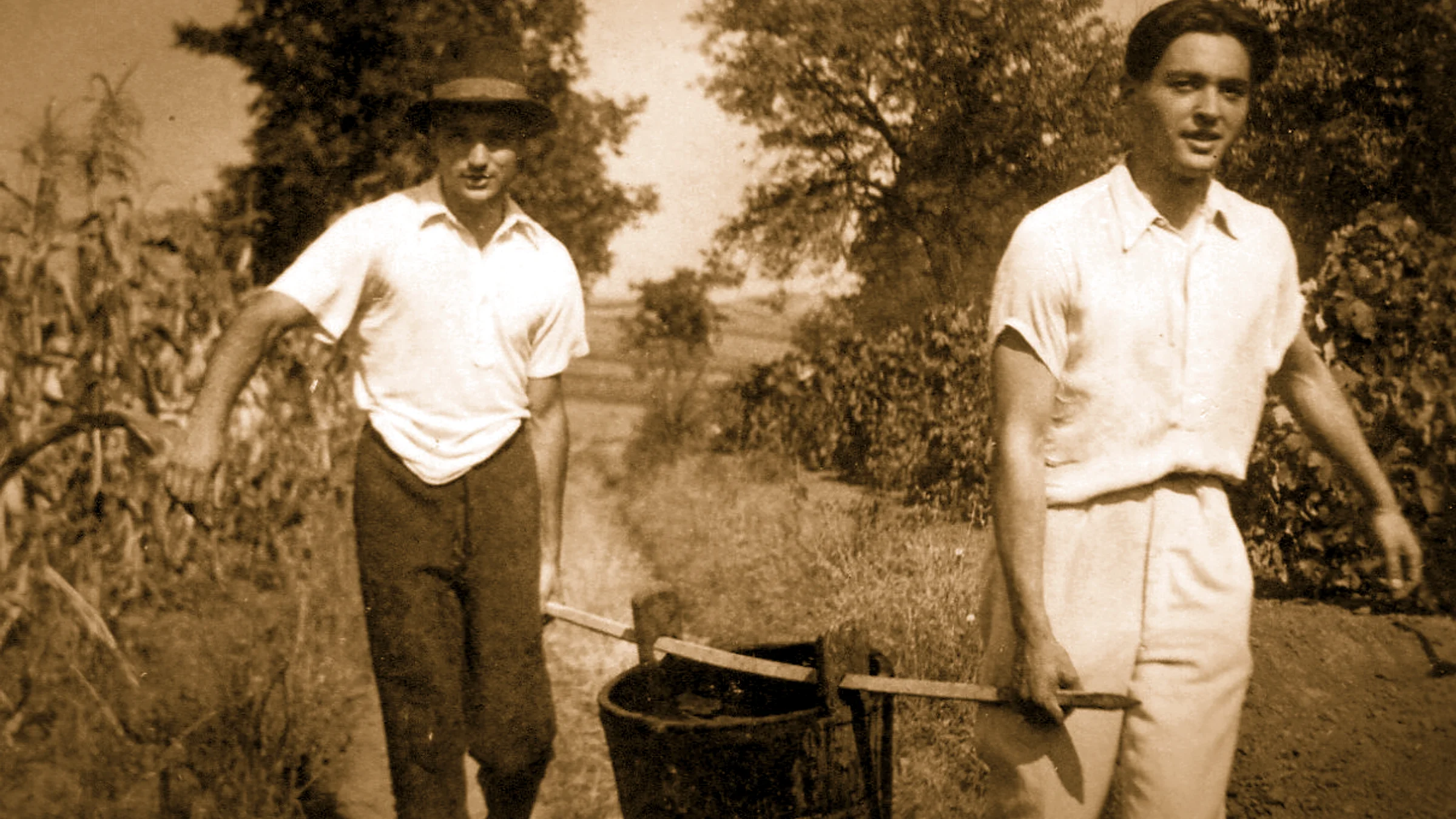 The Degree That Changes Everything: Temperature and Must in the León Harvest